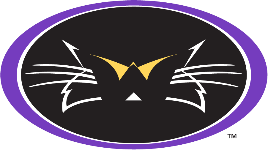 Western Carolina Catamounts 1996-2003 Secondary Logo v2 t shirts iron on transfers